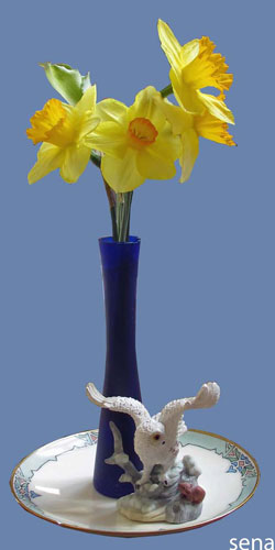 2013-04-10-Daffodils-3-500
