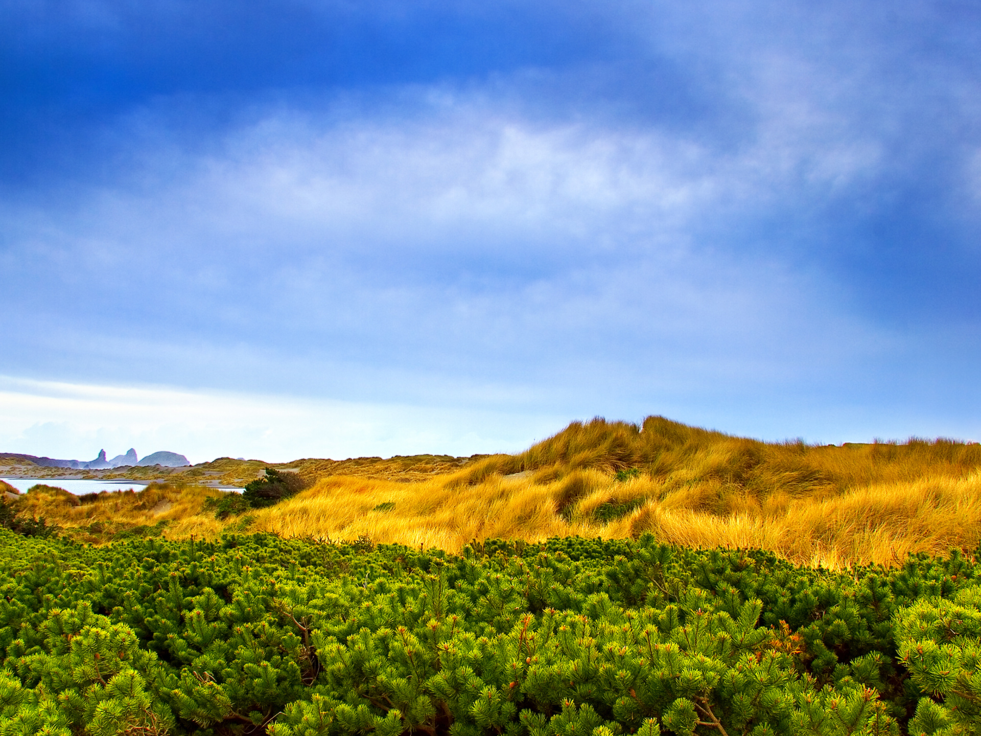 a field to hike